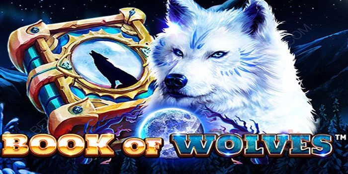 Pola Jitu Bermain Slot Book Of Wolves Agar Mudah Maxwin 